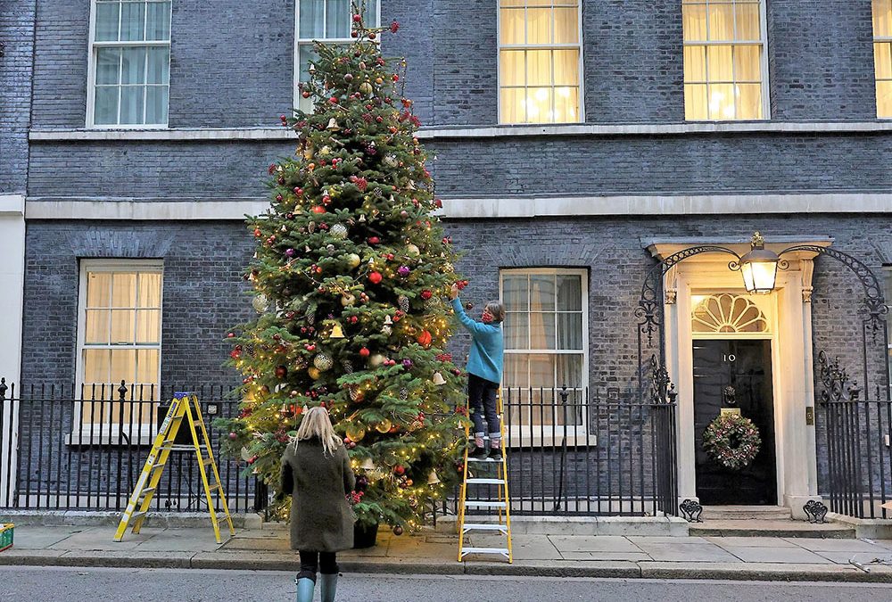 How good are our trees? Well, good enough for the Prime Minister!