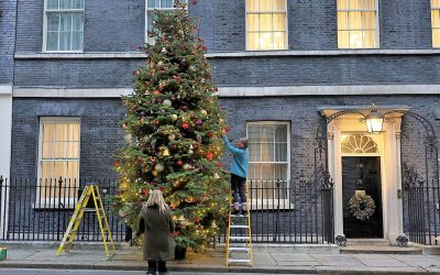 How good are our trees? Well, good enough for the Prime Minister!