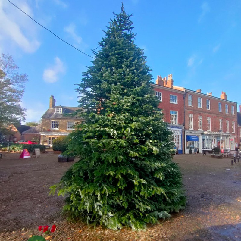 Tall Christmas tree in a market square